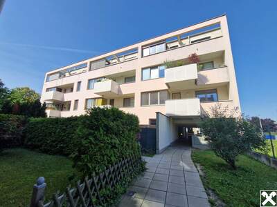 Wohnung mit Balkon kaufen in 2020 Hollabrunn