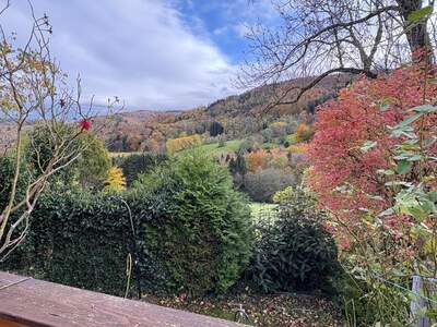 Einfamilienhaus kaufen in 3053 Laaben (Bild 4)