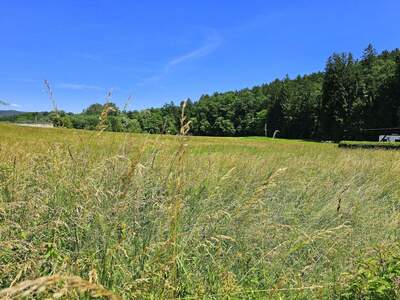 Grundstück kaufen in 8570 Voitsberg (Bild 3)