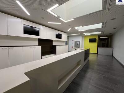 Gewerbeobjekt mieten in 2320 Schwechat (Bild 2)