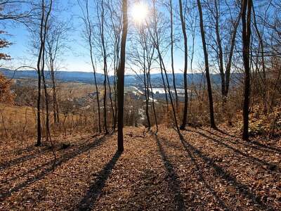 Grundstück kaufen in 2100 Leobendorf (Bild 1)