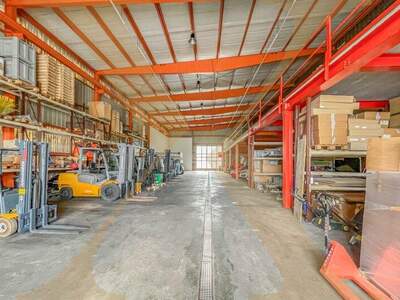 Halle / Lager / Produktion mieten in 4691 Schlatt