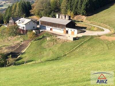 Gewerbeobjekt kaufen in 3150 Wilhelmsburg
