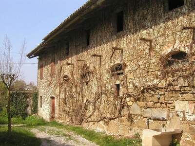 Haus kaufen in 33042 Buttrio UD (Bild 3)