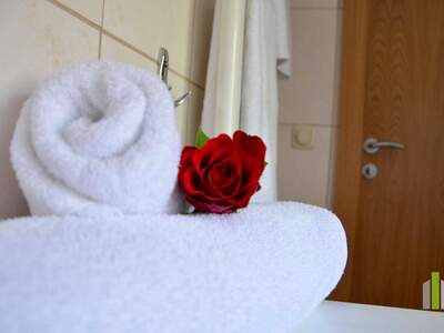 Gastronomie / Restaurant kaufen in 5753 Saalbach (Bild 5)