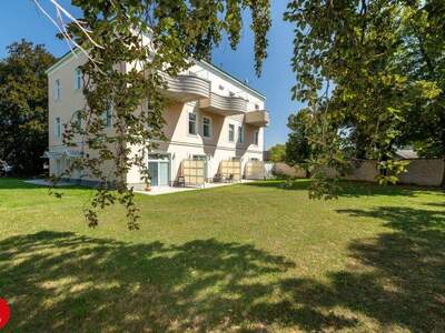 Büro / Praxis mieten in 2320 Schwechat