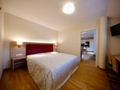 Terrassenwohnung kaufen in 8970 Schladming (Bild 5)