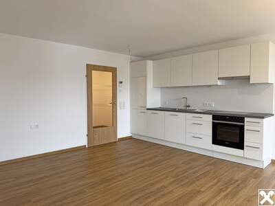 Wohnung mieten in 6900 Bregenz (Bild 3)