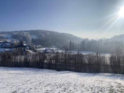 Grundstück kaufen in 4542 Nußbach