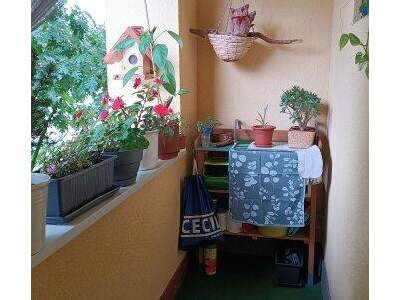 Terrassenwohnung mieten in 4400 Steyr (Bild 2)