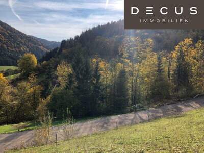 Grundstück kaufen in 3211 Loich (Bild 5)