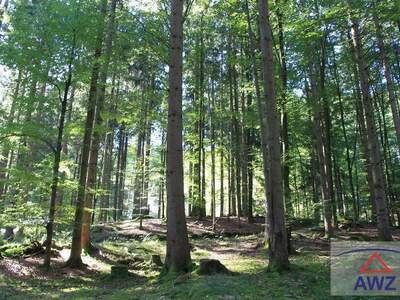 Gewerbeobjekt kaufen in 4923 Kobernaußerwald