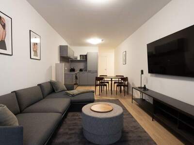 Terrassenwohnung mieten in 1010 Wien (Bild 2)