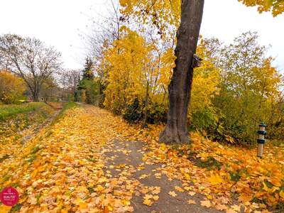 Grundstück kaufen in 2070 Retz (Bild 1)