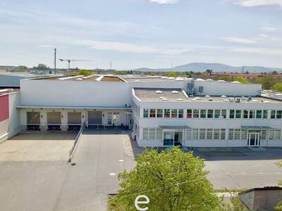 Gewerbeobjekt mieten in 1230 Wien (Bild 3)