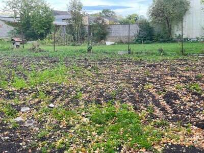 Grundstück kaufen in 7122 Gols