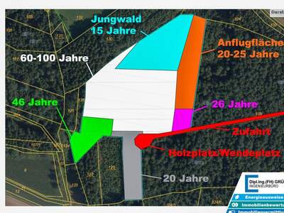 Gewerbeobjekt kaufen in 4761 Enzenkirchen (Bild 5)