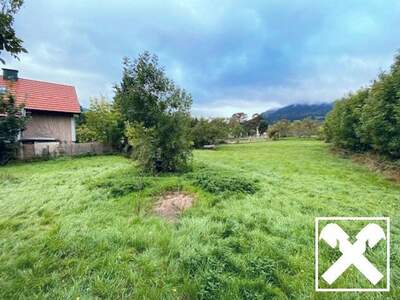 Grundstück kaufen in 2733 Grünbach (Bild 3)