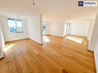 Wohnung kaufen in 1230 Wien