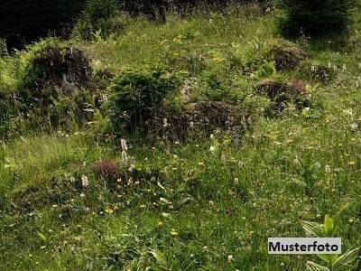Gewerbeobjekt kaufen in 6290 Finkenberg
