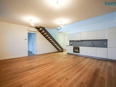 Wohnung mieten in 1130 Wien (Bild 4)