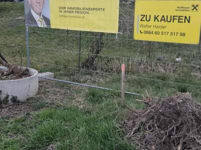 Eigentumswohnung in 7082 Donnerskirchen (Bild 5)