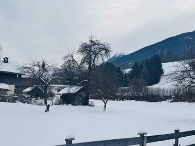 Grundstück kaufen in 6405 Pfaffenhofen