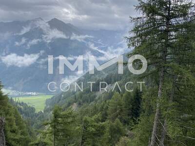 Immobilie kaufen in 9981 Kals (Bild 3)