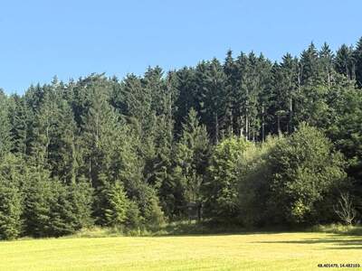 Gewerbeobjekt kaufen in 4212 Neumarkt