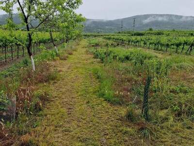Grundstück provisionsfrei mieten in 2511 Pfaffstätten