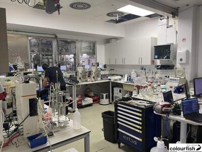 Gewerbeobjekt mieten in 1210 Wien (Bild 5)