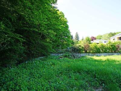 Grundstück kaufen in 2384 Breitenfurt (Bild 5)