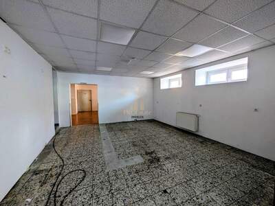 Gewerbeobjekt mieten in 4600 Thalheim (Bild 5)