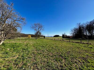 Grundstück kaufen in 5120 Sankt Pantaleon (Bild 1)