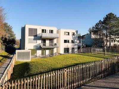 Terrassenwohnung kaufen in 2340 Mödling (Bild 5)