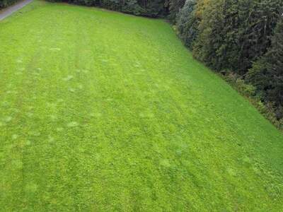 Grundstück kaufen in 8334 Riegersburg (Bild 1)