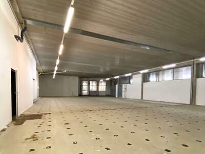 Gewerbeobjekt mieten in 1220 Wien (Bild 5)