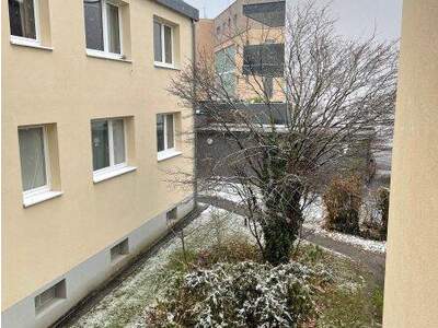 Terrassenwohnung mieten in 4780 Schärding (Bild 5)