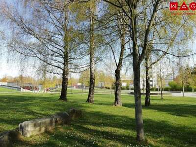 Wohnung mieten in 4020 Linz (Bild 1)