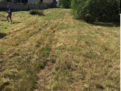 Grundstück kaufen in 2474 Gattendorf