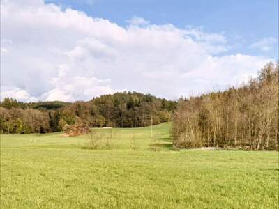 Einfamilienhaus provisionsfrei kaufen in 5152 Michaelbeuern