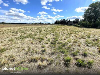 Grundstück kaufen in 7474 Deutsch Schützen (Bild 5)