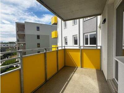 Terrassenwohnung mieten in 2700 Wr. Neustadt (Bild 3)