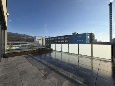 Gewerbeobjekt mieten in 4020 Linz (Bild 4)