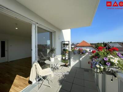 Terrassenwohnung mieten in 4060 Leonding (Bild 1)