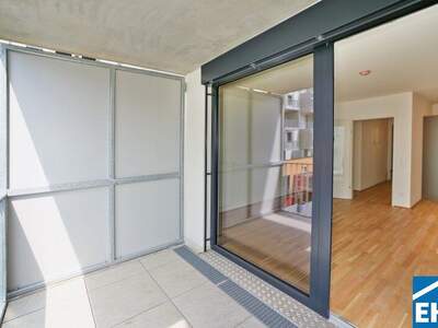 Terrassenwohnung mieten in 1220 Wien (Bild 2)