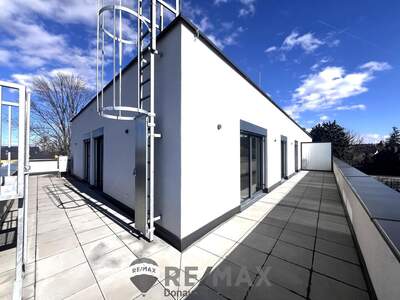 Terrassenwohnung kaufen in 2700 Wr. Neustadt (Bild 5)