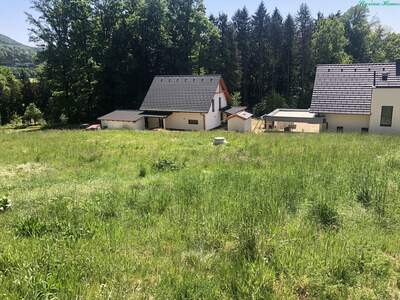 Grundstück kaufen in 8411 Hengsberg (Bild 3)