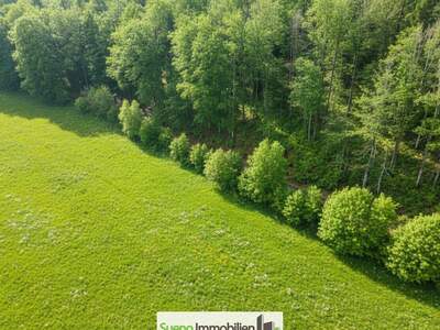 Grundstück kaufen in 4645 Grünau (Bild 4)