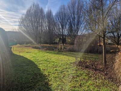 Grundstück kaufen in 4624 Pennewang (Bild 3)